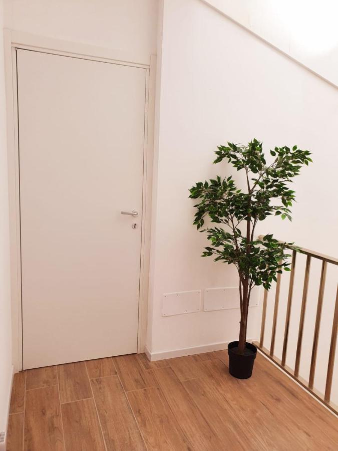 Beach Apartments 拉古萨的码头 外观 照片
